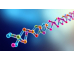 Peptide vials beside a digital DNA strand, representing the connection between peptides and genetic expression or cellular repair